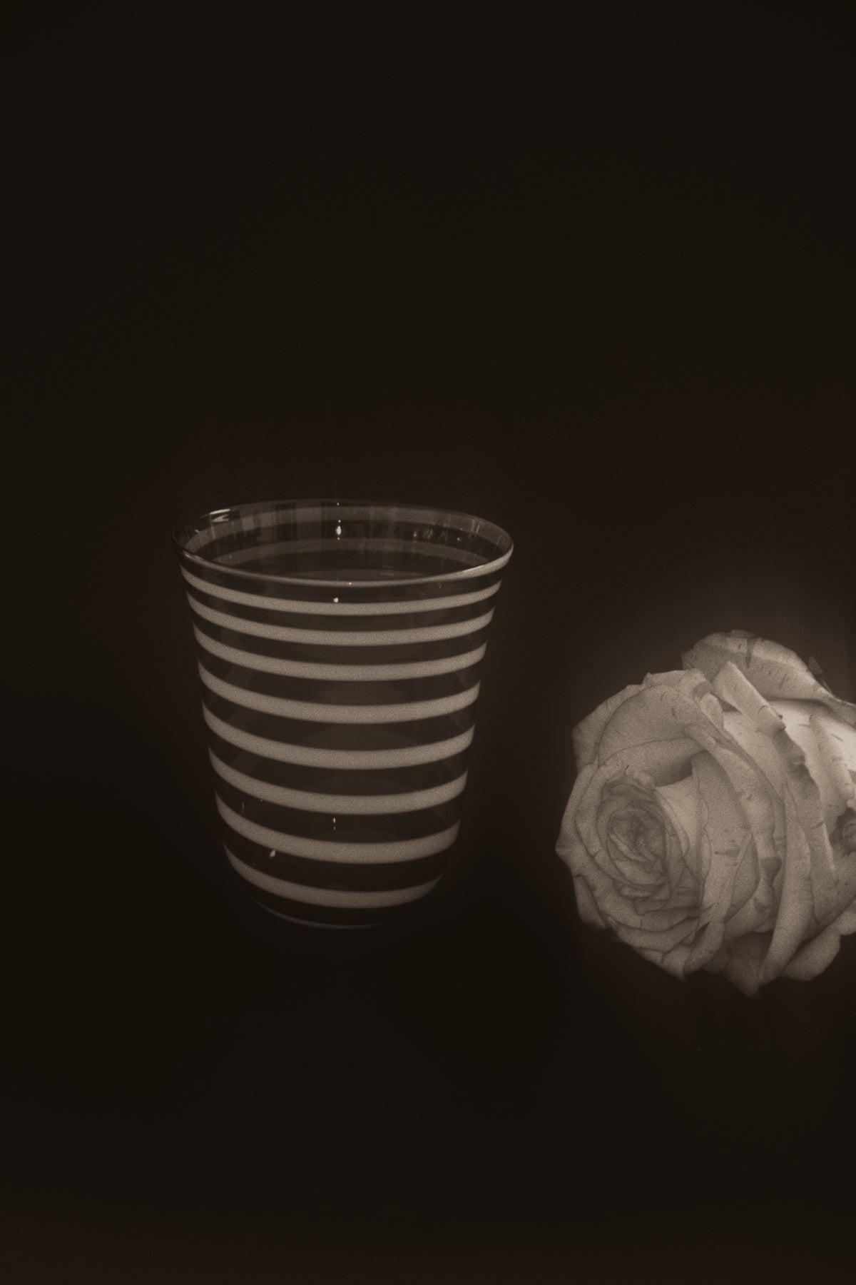 NITA TUMBLER