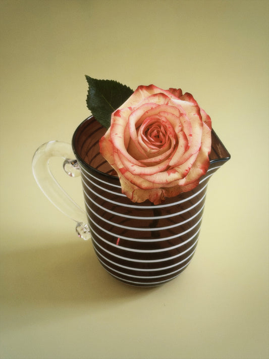 NITA PITCHER